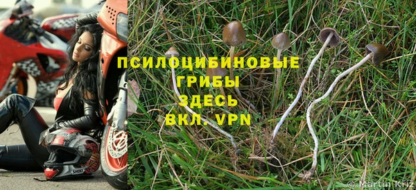 мдма Новодвинск