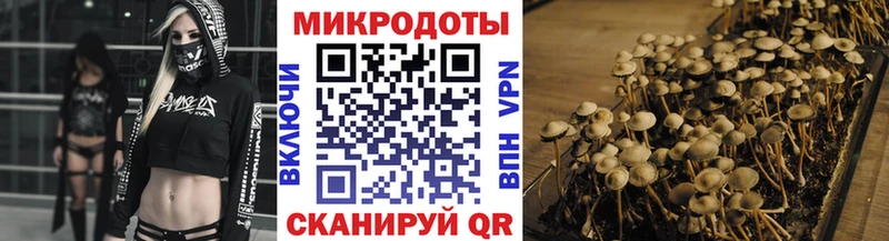 Псилоцибиновые грибы MAGIC MUSHROOMS  Кирсанов 