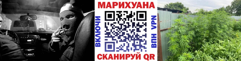 Марихуана планчик  Кирсанов 